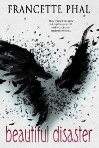 Buch Beautiful Disaster Francette Phal