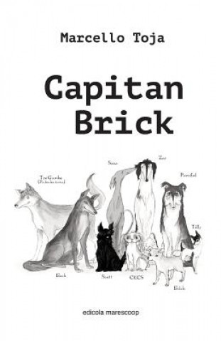 Könyv Capitan Brick Marcello Antonio Toja Dr