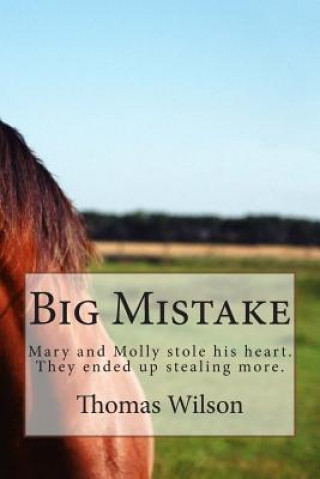 Knjiga Big Mistake Thomas Aaron Wilson