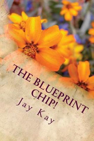 Kniha The Blueprint Chip!: Adventure, Action, Thriller Jay Kay