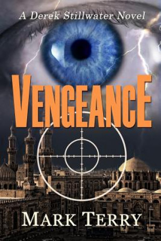 Kniha Vengeance: A Derek Stillwater Novel Mark Terry