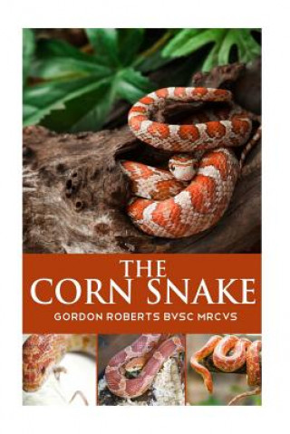 Kniha The Corn Snake Gordon Roberts Bvsc Mrcvs