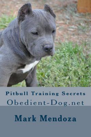 Kniha Pitbull Training Secrets: Obedient-Dog.net Mark Mendoza