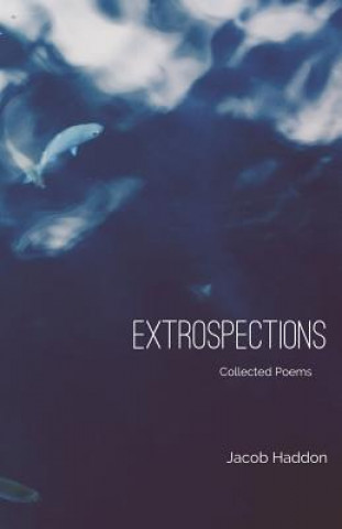 Book Extrospections Jacob Haddon