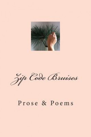 Book Zip Code Bruises: Prose & Poetry Lisa Flowers