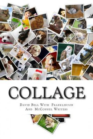 Βιβλίο Collage Franklinton Writers