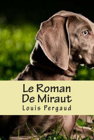 Kniha Le Roman De Miraut Ryan Ballin