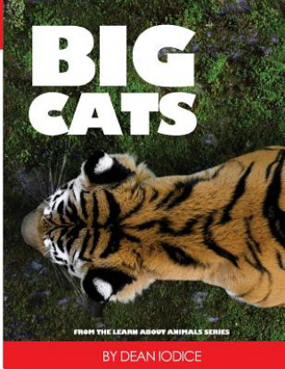 Kniha Big Cats Dean Iodice