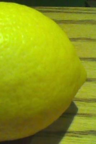 Knjiga lemons dan zayas