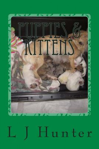 Buch Puppies & Kittens L J Hunter