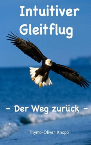 Könyv Intuitiver Gleitflug: Der Weg zurück Thymo-Oliver Knopp