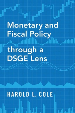 Книга Monetary and Fiscal Policy through a DSGE Lens Cole