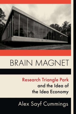Knjiga Brain Magnet Alex Cummings
