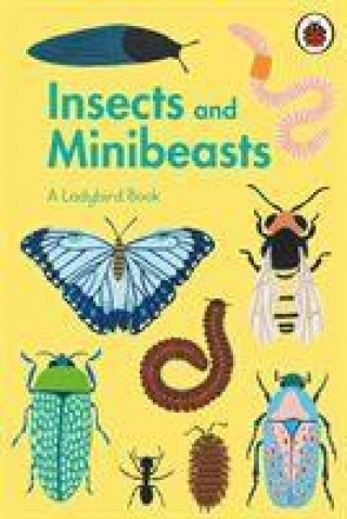 Carte Ladybird Book: Insects and Minibeasts Amber Davenport
