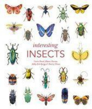 Livre Interesting Insects 