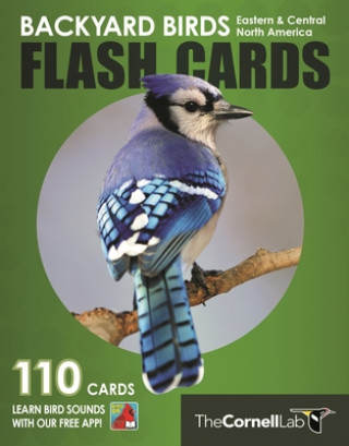 Hra/Hračka Backyard Birds Flash Cards - Eastern & Central North America 