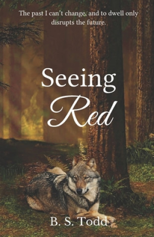 Knjiga Seeing Red B. S. Todd