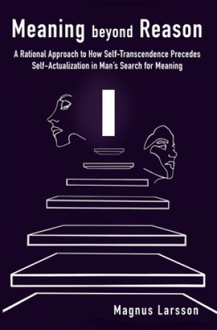 Book Meaning beyond Reason Magnus Larsson