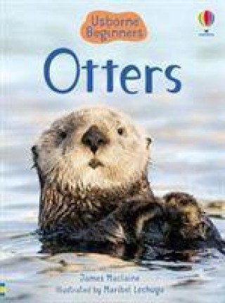 Carte Otters James Maclaine