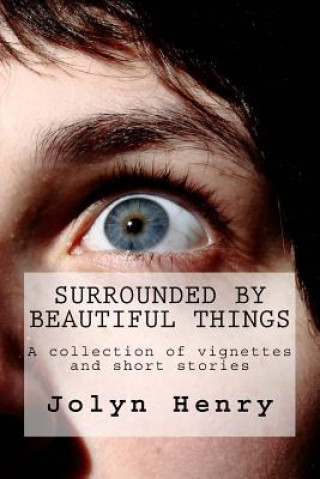 Knjiga Surrounded by Beautiful Things Jolyn H Henry