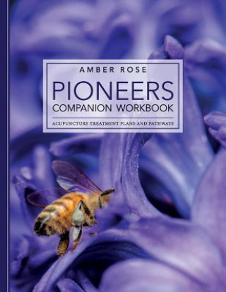 Kniha Pioneers Companion Workbook: Acupuncture Treatment Plans and Pathways Amber Rose