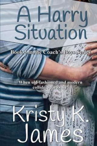 Knjiga A Harry Situation Kristy K James