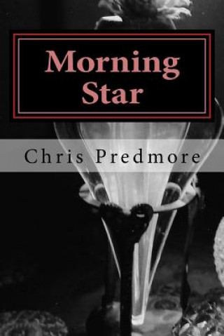 Książka Morning Star: Or how I was framed. Chris Predmore