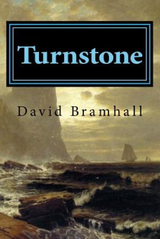 Book Turnstone David Bramhall