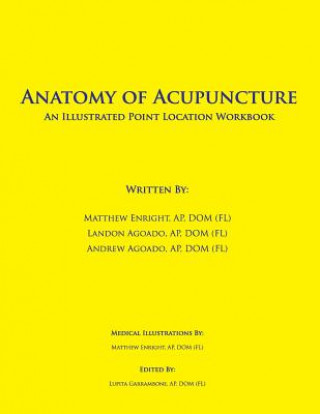 Carte Anatomy of Acupuncture: An Illustrated Point Location Workbook Landon Agoado