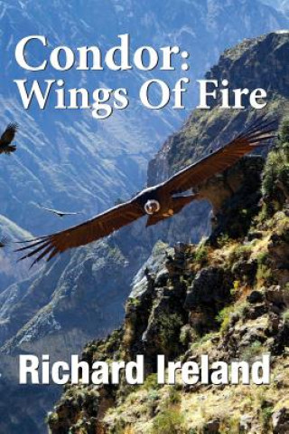 Könyv Condor: Wings of Fire Richard J Ireland