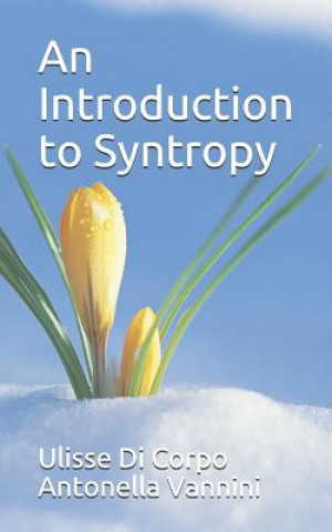 Kniha An Introduction to Syntropy Antonella Vannini