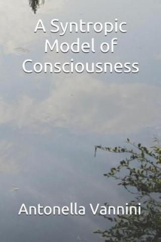 Книга A Syntropic Model of Consciousness Antonella Vannini