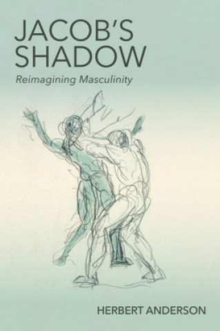 Book Jacob's Shadow Herbert Anderson