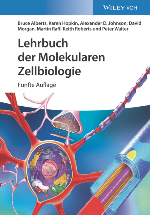 Carte Lehrbuch der Molekularen Zellbiologie 5e Bruce Alberts