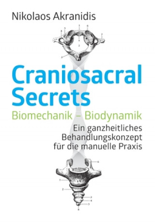 Книга Craniosacral Secrets 