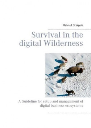 Könyv Survival in the digital Wilderness Ernest Lefebre