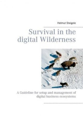 Libro Survival in the digital Wilderness Ernest Lefebre