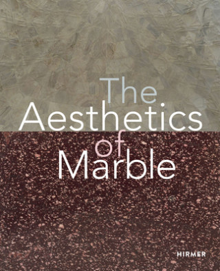 Kniha Aesthetics of Marble Dario Gamboni