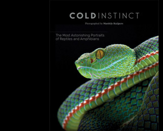 Könyv Cold Instinct Matthijs Kuijpers