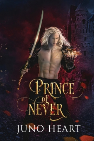 Book Prince of Never 