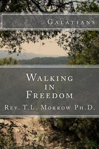 Książka Walking in Freedom T L Morrow Ph D