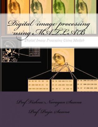 Knjiga Digital image processing using MATLAB Danida