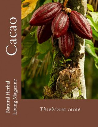 Kniha Cacao Amanda Klenner