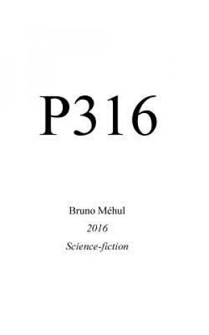 Kniha P316 Bruno Mehul