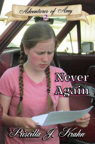 Knjiga Never Again Priscilla J Krahn