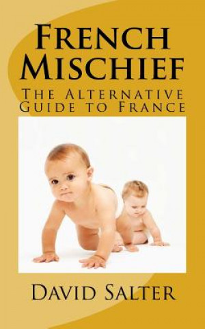 Könyv French Mischief: The Alternative Guide to France David Salter