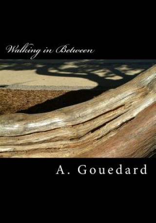 Książka Walking in Between: a collection of poetry A Gouedard