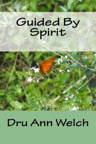 Buch Guided By Spirit Dru Ann Welch