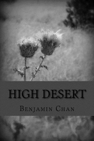 Knjiga High Desert Benjamin Q Chan