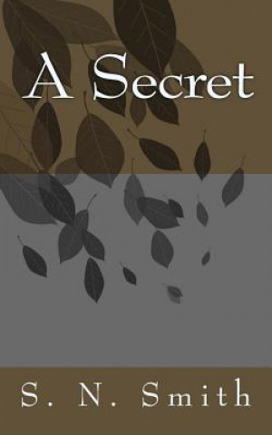 Knjiga Secrets S N Smith